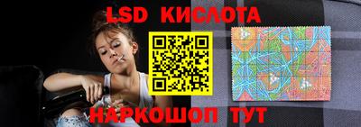 гидра Шебекино