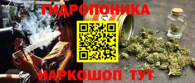 гидра Шебекино