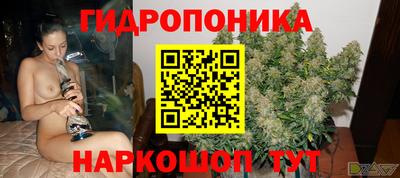 гидра Шебекино