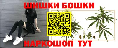 гидра Шебекино