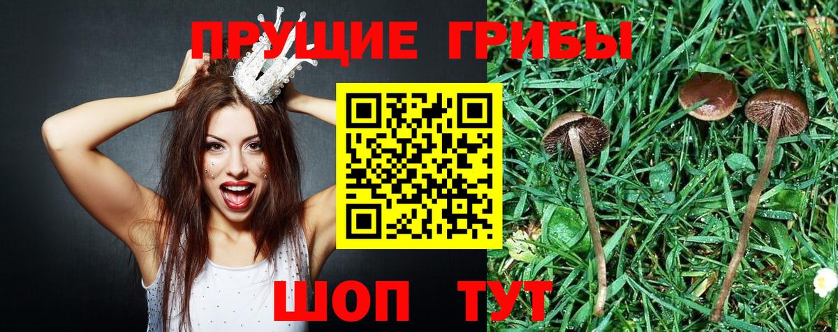 Псилоцибиновые грибы MAGIC MUSHROOMS  Галлюциногенные грибы ЛСД  дарнет шоп  Бугуруслан  Вход с VPN 